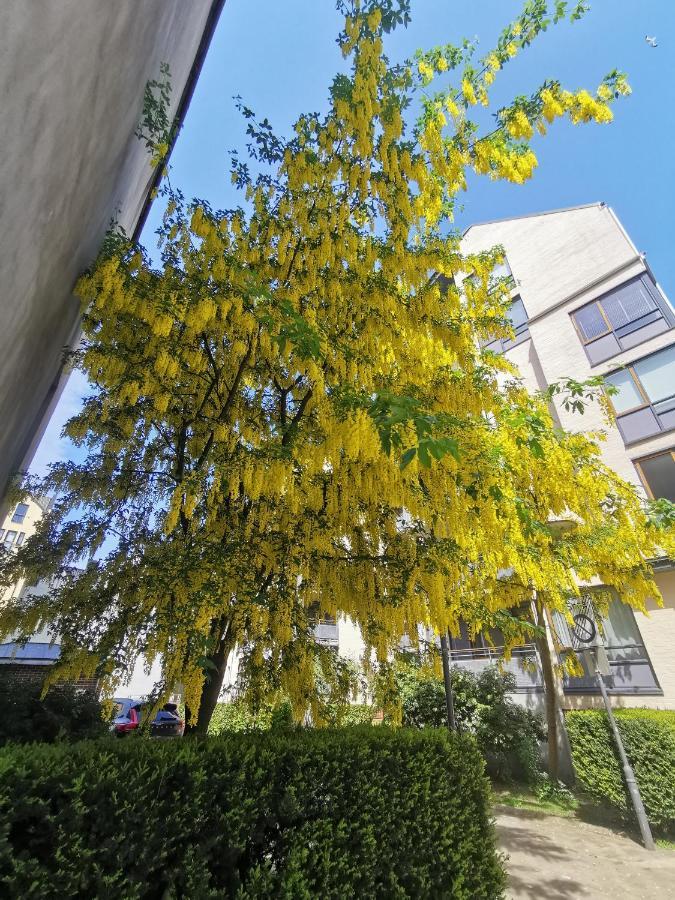 80 Square Metre Flat In The Heart Of Bergen - 2 Big Bedrooms Exterior foto